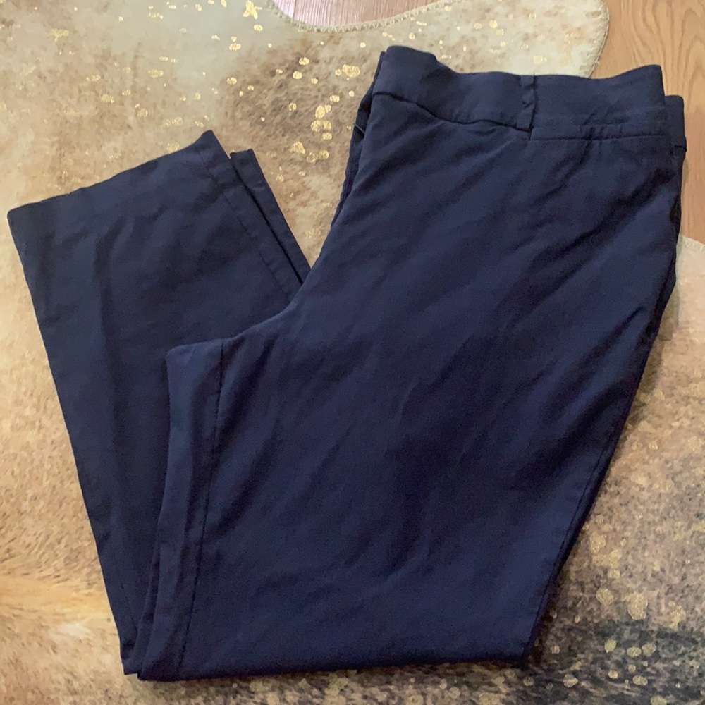 Lane Bryant pants- the Allie